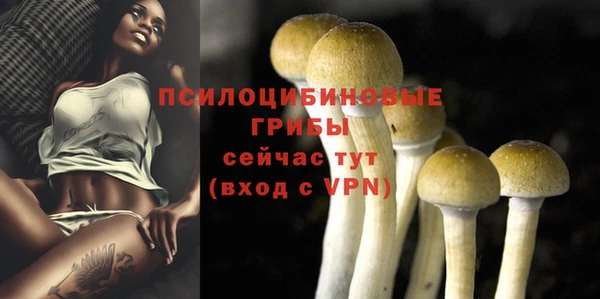 дмт Абинск