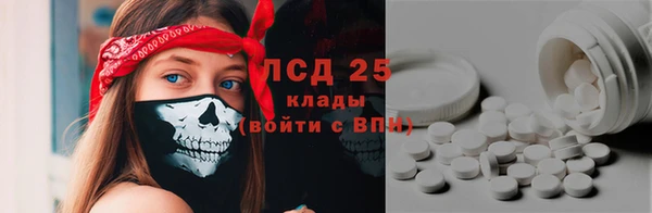 индика Приозерск