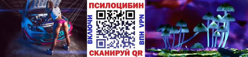 Псилоцибиновые грибы Cubensis  Западная Двина 